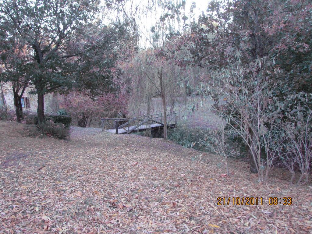 Agriturismo Il Mulino Delle Pile 基乌斯迪诺 外观 照片