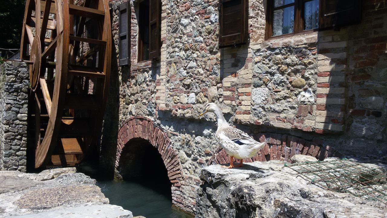 Agriturismo Il Mulino Delle Pile 基乌斯迪诺 外观 照片