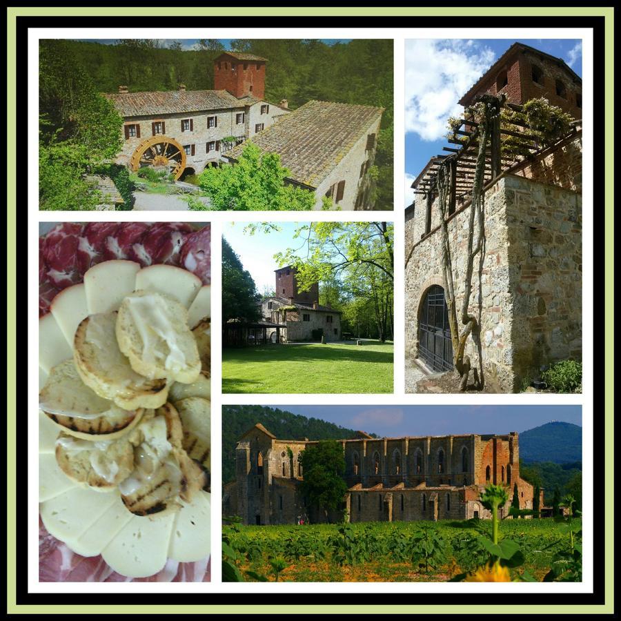 Agriturismo Il Mulino Delle Pile 基乌斯迪诺 外观 照片