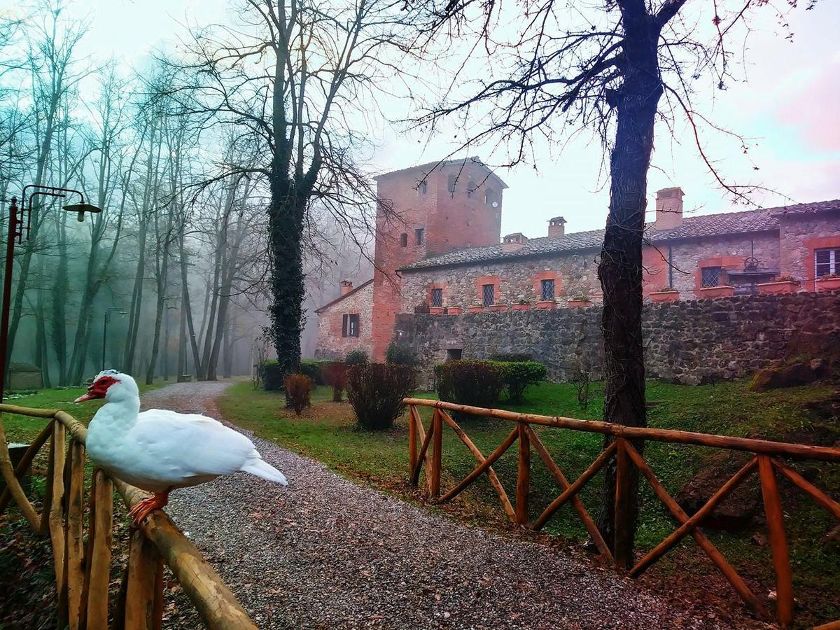 Agriturismo Il Mulino Delle Pile 基乌斯迪诺 外观 照片