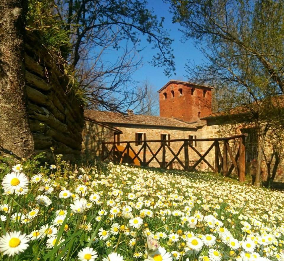 Agriturismo Il Mulino Delle Pile 基乌斯迪诺 外观 照片
