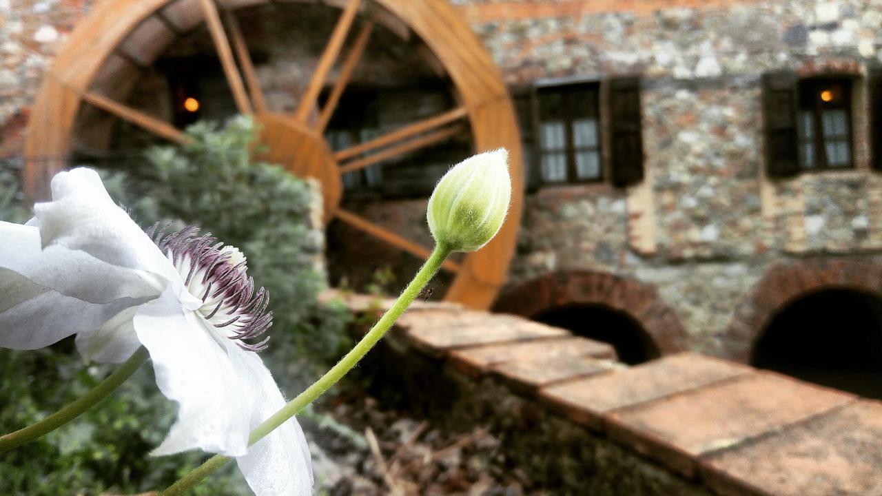 Agriturismo Il Mulino Delle Pile 基乌斯迪诺 外观 照片